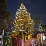 ヒメ日記 2025/12/24 12:40 投稿 ののか ぽっちゃり巨乳素人専門店ぷにめろ蒲田店