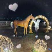 ヒメ日記 2025/12/26 08:20 投稿 ののか ぽっちゃり巨乳素人専門店ぷにめろ蒲田店