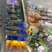 ヒメ日記 2026/01/20 09:16 投稿 ののか ぽっちゃり巨乳素人専門店ぷにめろ蒲田店