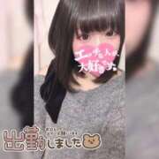 ヒメ日記 2026/02/12 13:06 投稿 ののか ぽっちゃり巨乳素人専門店ぷにめろ蒲田店