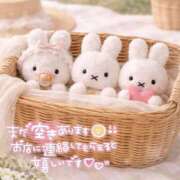 ヒメ日記 2026/04/06 16:46 投稿 ののか ぽっちゃり巨乳素人専門店ぷにめろ蒲田店