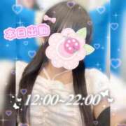 ヒメ日記 2026/04/20 07:36 投稿 ののか ぽっちゃり巨乳素人専門店ぷにめろ蒲田店