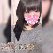 ヒメ日記 2026/04/26 12:26 投稿 ののか ぽっちゃり巨乳素人専門店ぷにめろ蒲田店