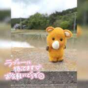ヒメ日記 2026/05/10 10:06 投稿 ののか ぽっちゃり巨乳素人専門店ぷにめろ蒲田店