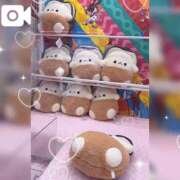ヒメ日記 2026/05/20 06:26 投稿 ののか ぽっちゃり巨乳素人専門店ぷにめろ蒲田店
