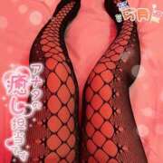 ヒメ日記 2026/05/31 11:16 投稿 ののか ぽっちゃり巨乳素人専門店ぷにめろ蒲田店