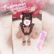 ヒメ日記 2026/06/03 12:06 投稿 ののか ぽっちゃり巨乳素人専門店ぷにめろ蒲田店