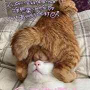ヒメ日記 2026/06/10 12:46 投稿 ののか ぽっちゃり巨乳素人専門店ぷにめろ蒲田店