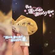 ヒメ日記 2026/06/13 07:46 投稿 ののか ぽっちゃり巨乳素人専門店ぷにめろ蒲田店