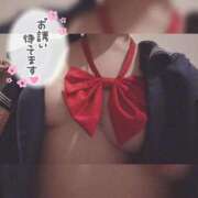 ヒメ日記 2026/06/14 11:46 投稿 ののか ぽっちゃり巨乳素人専門店ぷにめろ蒲田店