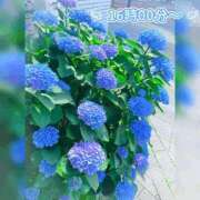 ヒメ日記 2026/06/14 13:46 投稿 ののか ぽっちゃり巨乳素人専門店ぷにめろ蒲田店