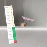 ヒメ日記 2026/07/18 15:16 投稿 ののか ぽっちゃり巨乳素人専門店ぷにめろ蒲田店