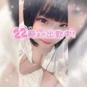ヒメ日記 2026/07/22 14:16 投稿 ののか ぽっちゃり巨乳素人専門店ぷにめろ蒲田店