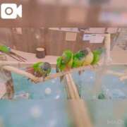 ヒメ日記 2026/07/23 16:16 投稿 ののか ぽっちゃり巨乳素人専門店ぷにめろ蒲田店