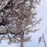 ヒメ日記 2026/02/27 14:16 投稿 めい ぽっちゃり巨乳素人専門店ぷにめろ蒲田店