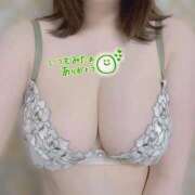 ヒメ日記 2026/03/13 21:46 投稿 めい ぽっちゃり巨乳素人専門店ぷにめろ蒲田店