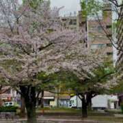 ヒメ日記 2026/04/08 13:26 投稿 めい ぽっちゃり巨乳素人専門店ぷにめろ蒲田店