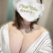 ヒメ日記 2026/04/17 12:25 投稿 めい ぽっちゃり巨乳素人専門店ぷにめろ蒲田店