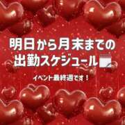 めい 月末までの出勤予定公開🗓️ ぽっちゃり巨乳素人専門店ぷにめろ蒲田店