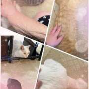 ヒメ日記 2025/12/12 19:20 投稿 さき ぽっちゃり巨乳素人専門店ぷにめろ蒲田店