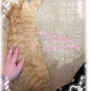 ヒメ日記 2026/03/29 12:16 投稿 さき ぽっちゃり巨乳素人専門店ぷにめろ蒲田店