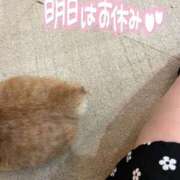 ヒメ日記 2026/06/12 01:06 投稿 さき ぽっちゃり巨乳素人専門店ぷにめろ蒲田店