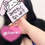 ヒメ日記 2026/06/15 12:53 投稿 さき ぽっちゃり巨乳素人専門店ぷにめろ蒲田店