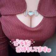 らん 19時〜3時！🐱 ぽっちゃり巨乳素人専門店ぷにめろ蒲田店