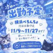 ヒメ日記 2026/10/20 06:25 投稿 よる ぺろぺろベロベロ専科 ぺろんちょ