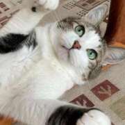 ヒメ日記 2025/11/01 17:26 投稿 瀬那（せな） 熟女の風俗最終章　鶯谷店