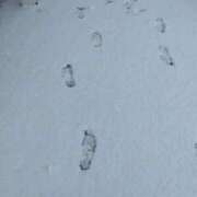 ヒメ日記 2026/02/08 10:30 投稿 瀬那（せな） 熟女の風俗最終章　鶯谷店