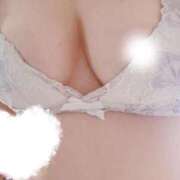 ヒメ日記 2025/12/05 08:31 投稿 うた 宮城仙南ちゃんこ