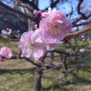 あすか こんにちは Mother Complex～マザーコンプレックス～