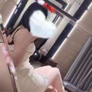 ヒメ日記 2025/12/11 11:27 投稿 ちひろ トリプルA