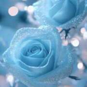 ヒメ日記 2026/01/28 11:47 投稿 ちひろ トリプルA