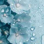 ヒメ日記 2026/02/12 11:32 投稿 ちひろ トリプルA