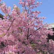 ちひろ 出勤🫶 トリプルA