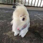 ヒメ日記 2025/12/08 11:02 投稿 大城 BBW横浜店