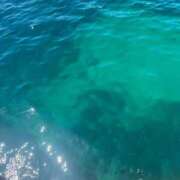 ヒメ日記 2026/02/28 13:41 投稿 大城 BBW横浜店