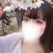 ヒメ日記 2025/11/08 13:00 投稿 とら ワンダーホール24in幕張