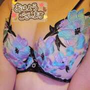 ヒメ日記 2025/11/16 09:17 投稿 柳田やよい プルデリR40