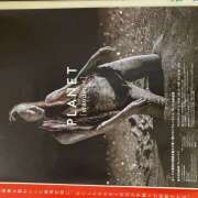 ヒメ日記 2025/11/03 16:37 投稿 こころ 大塚 虹いろ回春