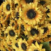 ヒメ日記 2025/12/11 19:44 投稿 こころ 大塚 虹いろ回春