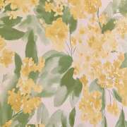 ヒメ日記 2026/01/19 21:35 投稿 こころ 大塚 虹いろ回春