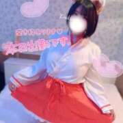 ヒメ日記 2026/01/22 11:18 投稿 つきの ぽっちゃり巨乳素人専門店ぷにめろ西船橋店