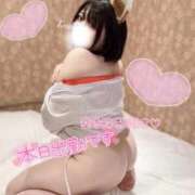 ヒメ日記 2026/01/27 11:18 投稿 つきの ぽっちゃり巨乳素人専門店ぷにめろ西船橋店