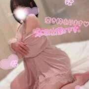 つきの えっちな子どもでした ぽっちゃり巨乳素人専門店ぷにめろ西船橋店