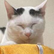 ヒメ日記 2026/02/10 09:38 投稿 らん ぽっちゃり巨乳素人専門店ぷにめろ西船橋店