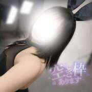 ヒメ日記 2026/04/20 13:38 投稿 みな ぽっちゃり巨乳素人専門店ぷにめろ西船橋店