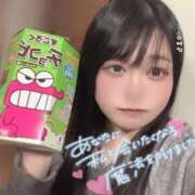 はる 増す？増さない？ ぽっちゃり巨乳素人専門店ぷにめろ西船橋店